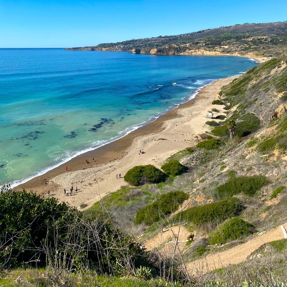 Meet your Posher, Isabel